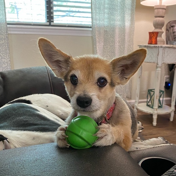 Like to Bookmark my closet - Picture 3 of 4